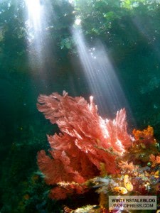 passage112