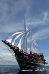 Amira von vorn MSV Amira