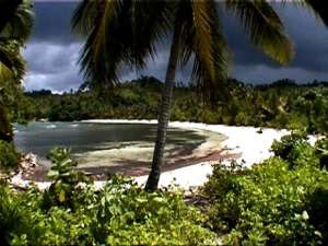 Lonely beach on one of the Banggais