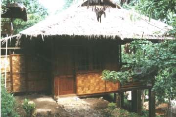 Froggies - Bungalow