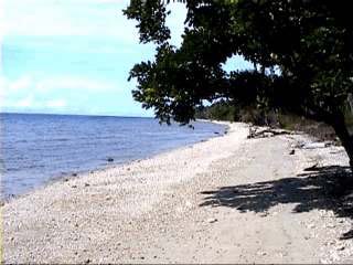 The beach in front of Maleo Cottages