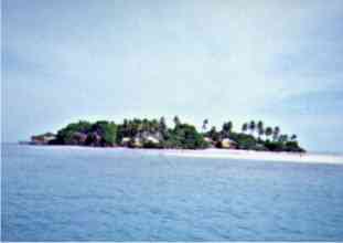 Welcome in Paradise