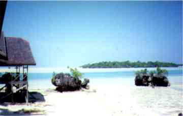 view from the bungalow