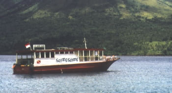 Die Sayang-Sayang