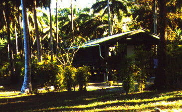 Bungalow im Uepi Resort