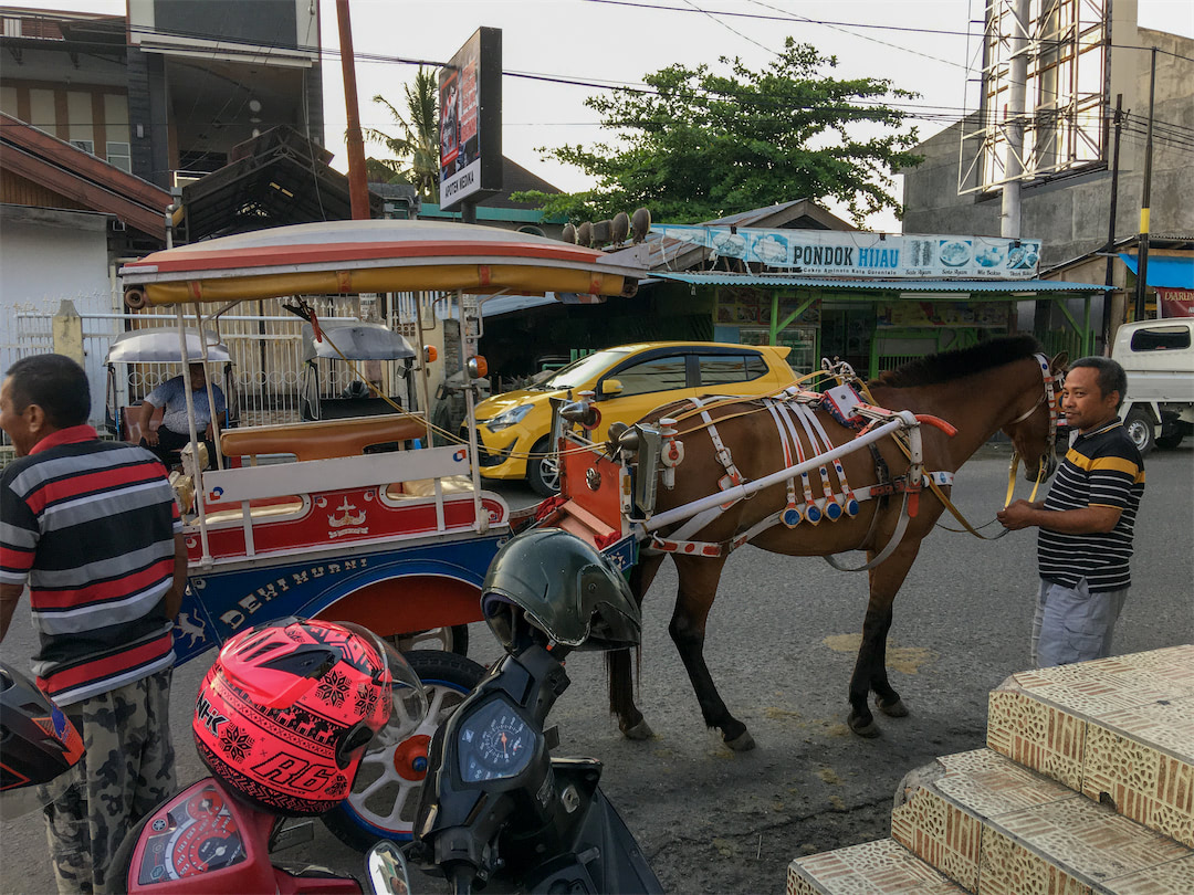 Pferdedroschke wartet auf Kunden in Gorontalo