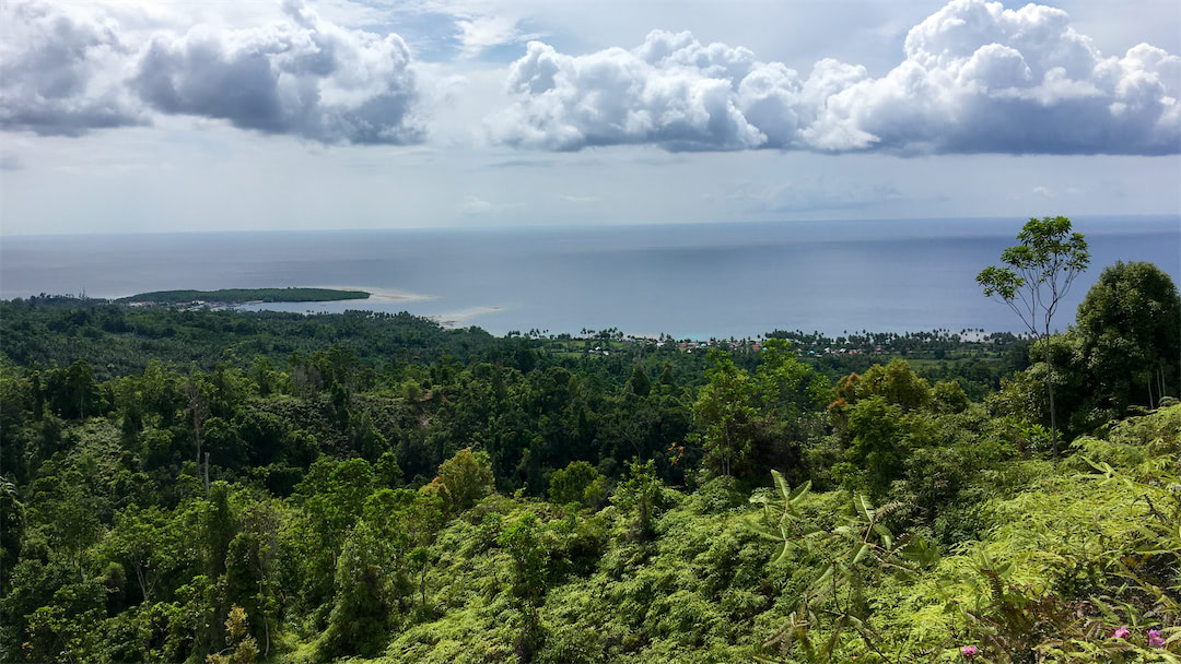 Bogani Homestay Ausblick während Wanderung