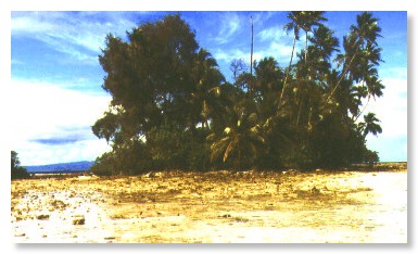 Skull Island bei Munda, Salomonen