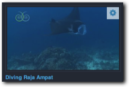 Videos: Tauchen in Raja Ampat