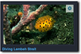 Videos: Tauchen in Lembeh