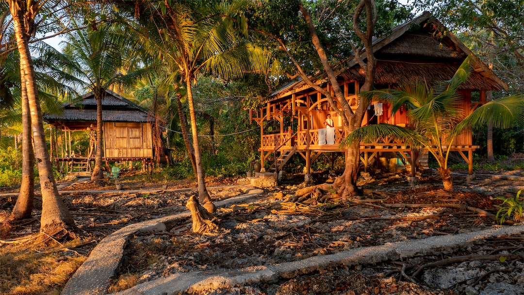 Hoga Island Dive Resort bungalows