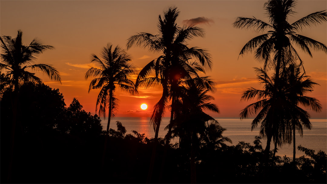 Marind Dive sunset