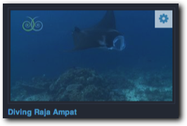 Videos: Diving in Raja Ampat