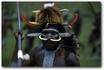 Papuan Warrior